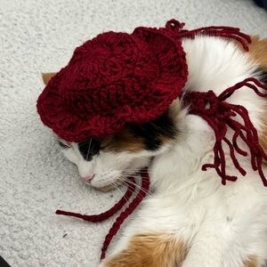 Winter Cat Hat & Scarf